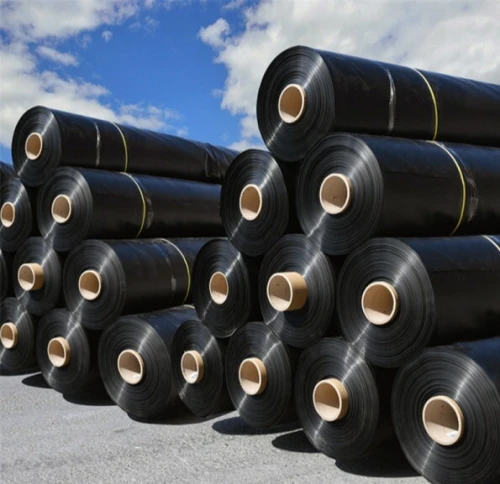 GEOMEMBRANE 