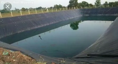 GEOMEMBRANE 