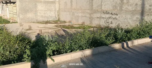 Vente Terrain Tlemcen Mansourah