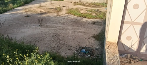 Vente Terrain Tlemcen Mansourah