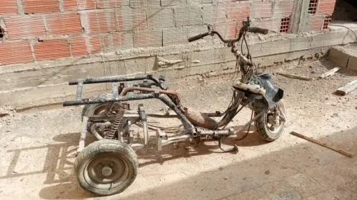 Tricycle Handicapes 2000