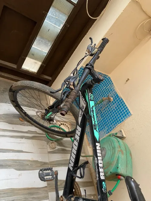 Vélo requin 29