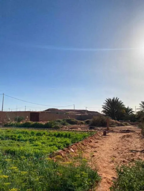 Vente Terrain Timimoun Timimoun