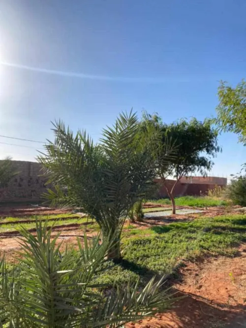 Vente Terrain Timimoun Timimoun