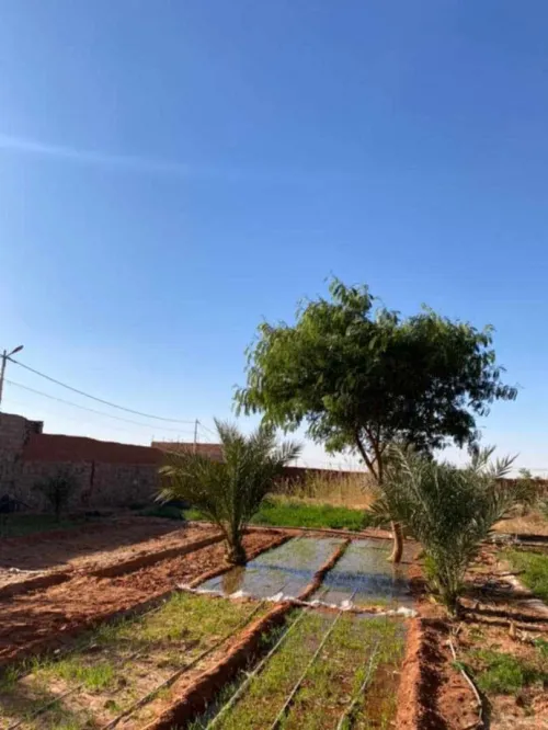 Vente Terrain Timimoun Timimoun