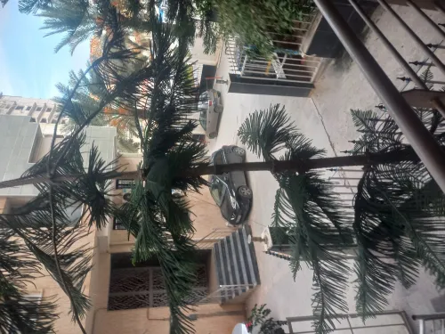 Vente Appartement F3 Alger Bir mourad rais