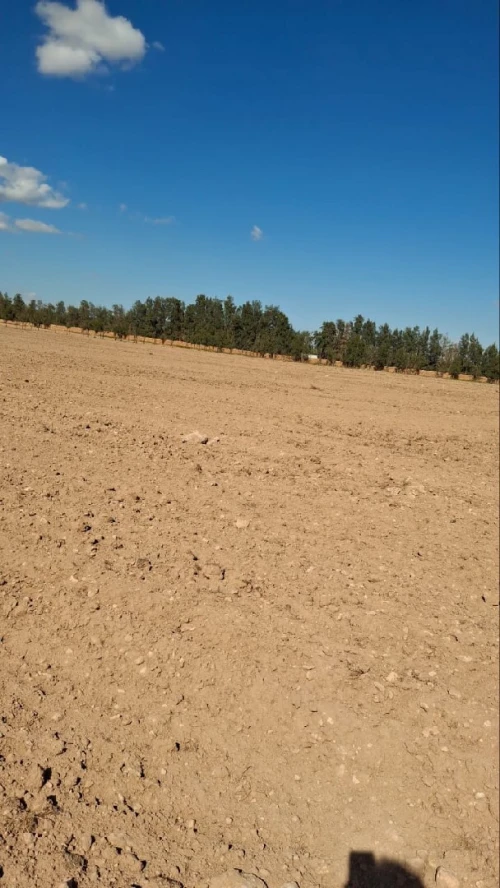 Vente Terrain Agricole Djelfa Ain oussara