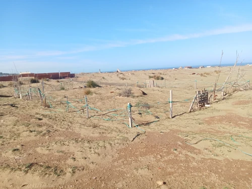 Vente Terrain Boumerdès Zemmouri