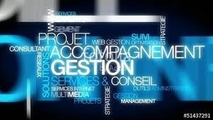 CONSULTANT en FINANCES / COMPTABILITE