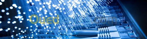 Services maintenance informatique, réseaux, telecommunications, basse-tensions et radio / WiFi