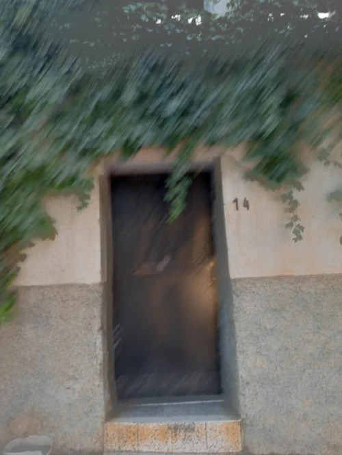 Vente Villa Chlef Chlef