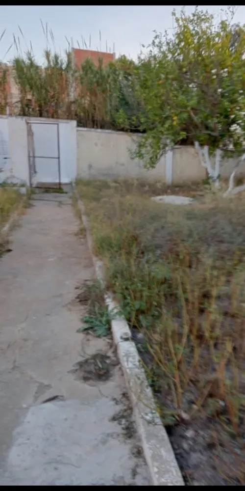 Vente Terrain Alger Birkhadem