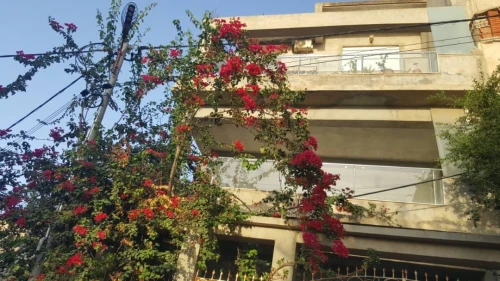 Location Appartement Niveau de villa F3 Tipaza Bou haroun