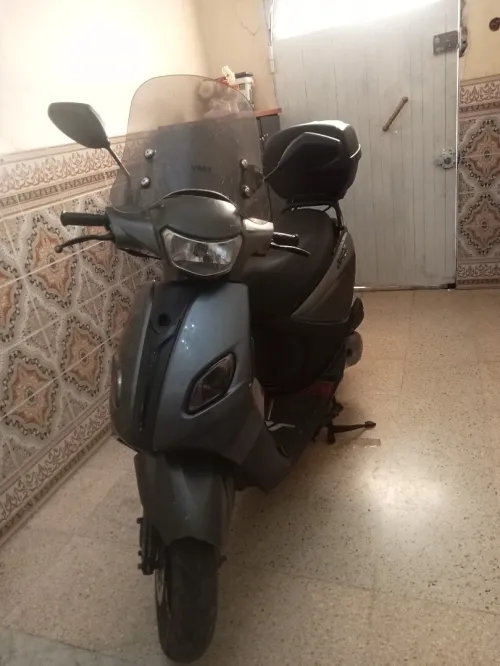 Joci Joci 2019