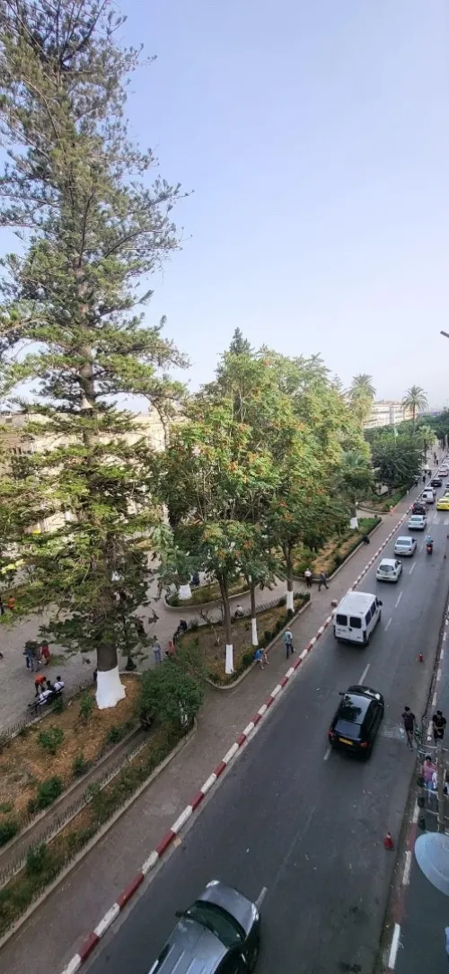Vente Appartement Annaba Annaba