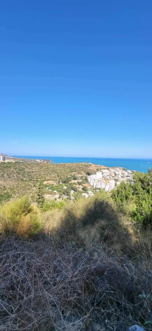 Vente Terrain Annaba Annaba