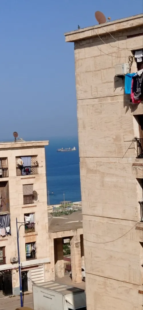 Vente Terrain Alger El madania