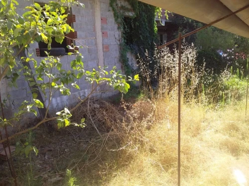 Vente Terrain Skikda Skikda