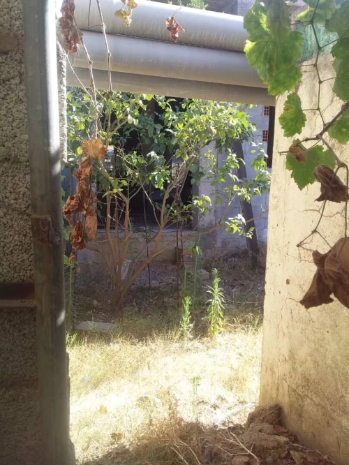 Vente Terrain Skikda Skikda