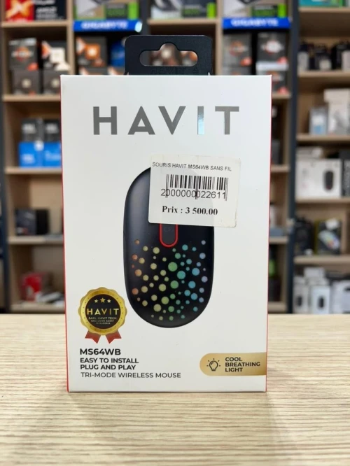 SOURIS HAVIT MS64WB SANS FIL
