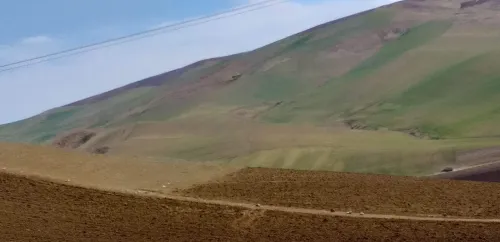 Vente Terrain Agricole Médéa Tlatet eddouair