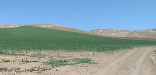 Vente Terrain Agricole Médéa Tlatet eddouair
