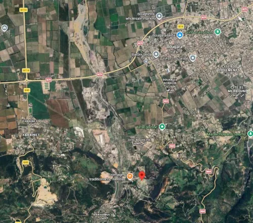 Vente Terrain Blida Hammam melouane