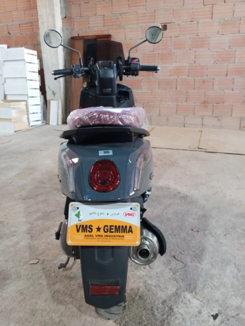 Vms Gemma 2025