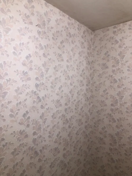 Papier peint murale très bon qualité 