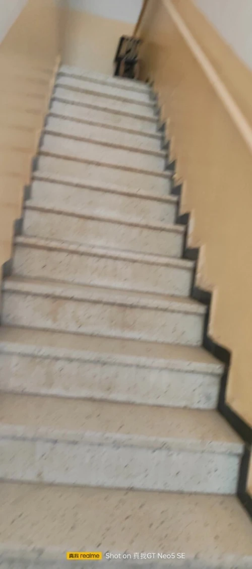 Vente Villa Alger El biar