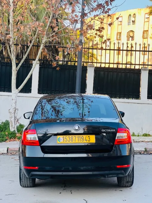 Skoda Octavia 2019 Ambition
