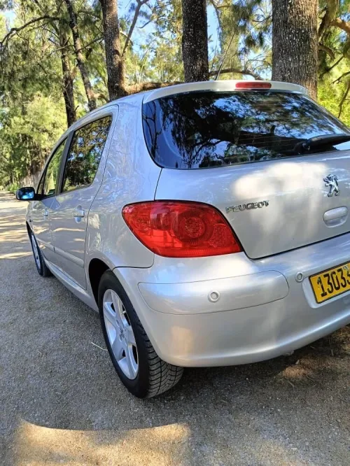 Peugeot 307 2007 Oxygo