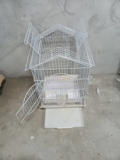 Cage perroquet gabonais