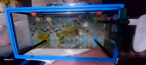 Aquarium 