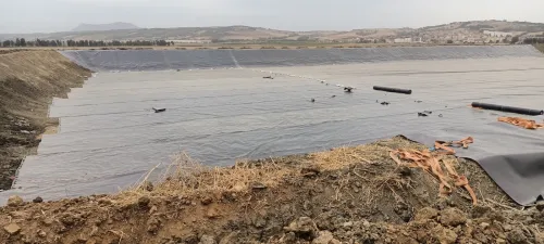 Geomembrane جممبران