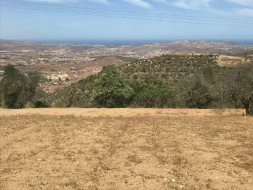 Vente Terrain Agricole Tlemcen Nedroma