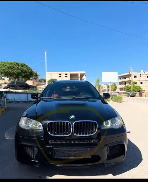 Calandre bmw x6 2012