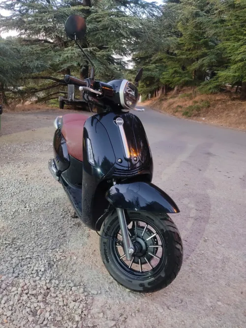 Benelli Panaria 2025