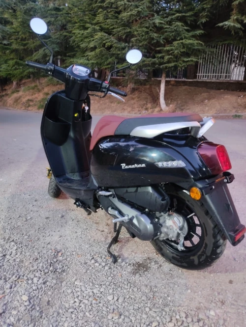 Benelli Panaria 2025