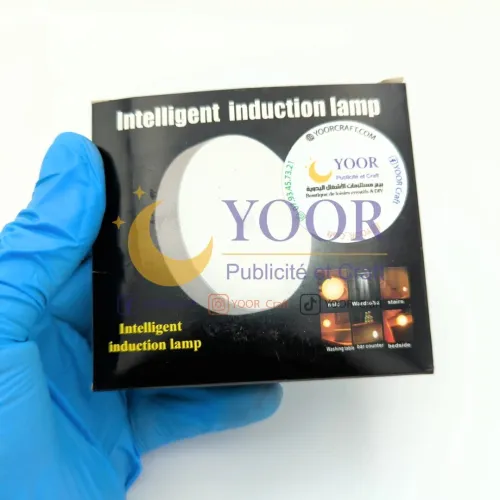 Lampe intelligente مصباح ذكي