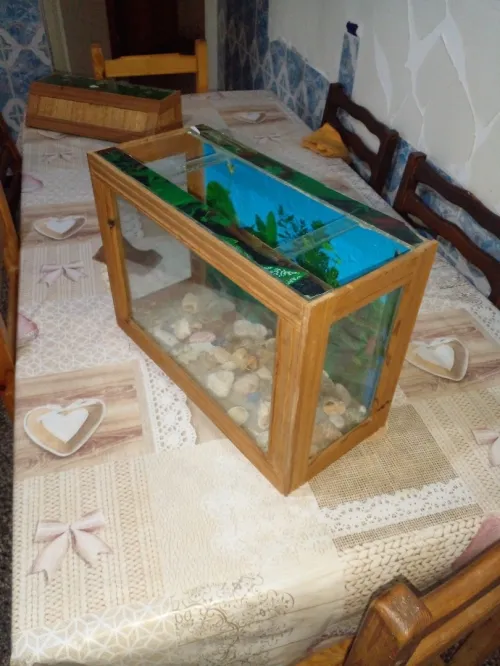 DEUX AQUARIUMS BON PRIX
