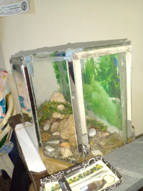 DEUX AQUARIUMS BON PRIX