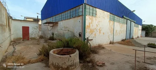 Vente Hangar - Usine Oran Hassi ben okba