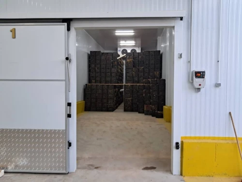 Location Hangar - Usine Aïn Defla Boumedfaa
