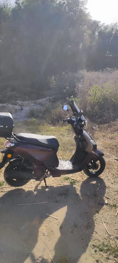 vms joci 2024