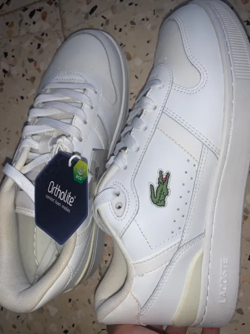 Basquette lacoste