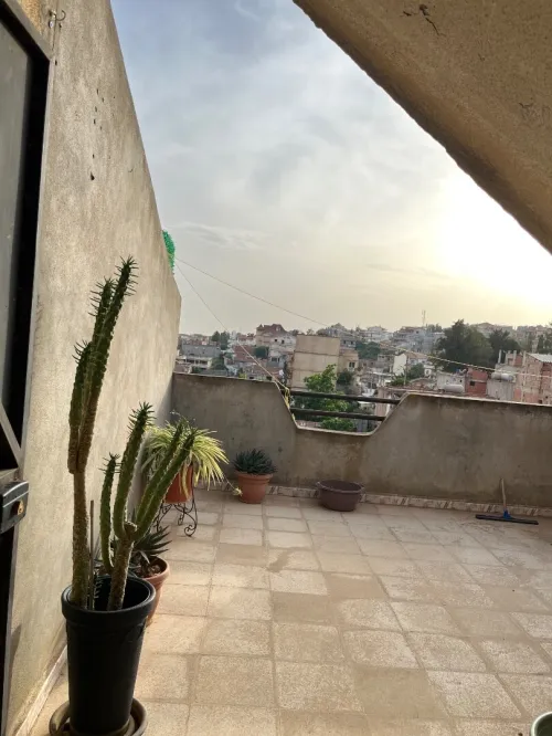 Location Alger Birtouta