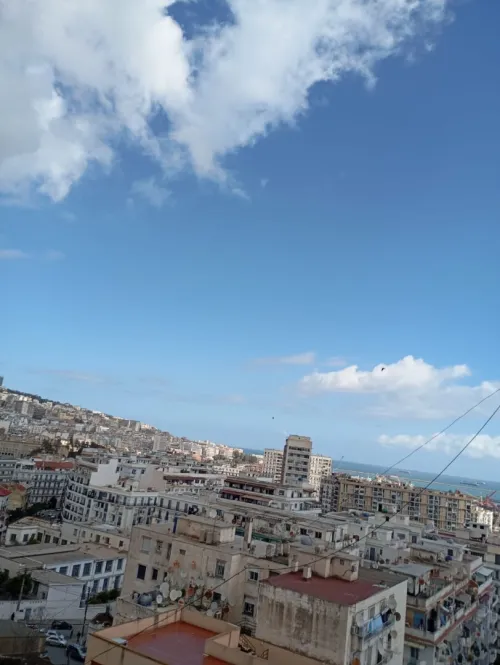 Location Appartement F2 Alger Alger centre