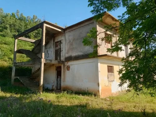 Vente Terrain Blida Chiffa