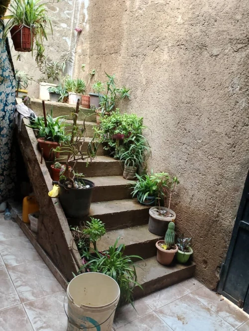 Vente Appartement F3 Tlemcen Amieur